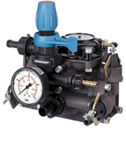 MC 25